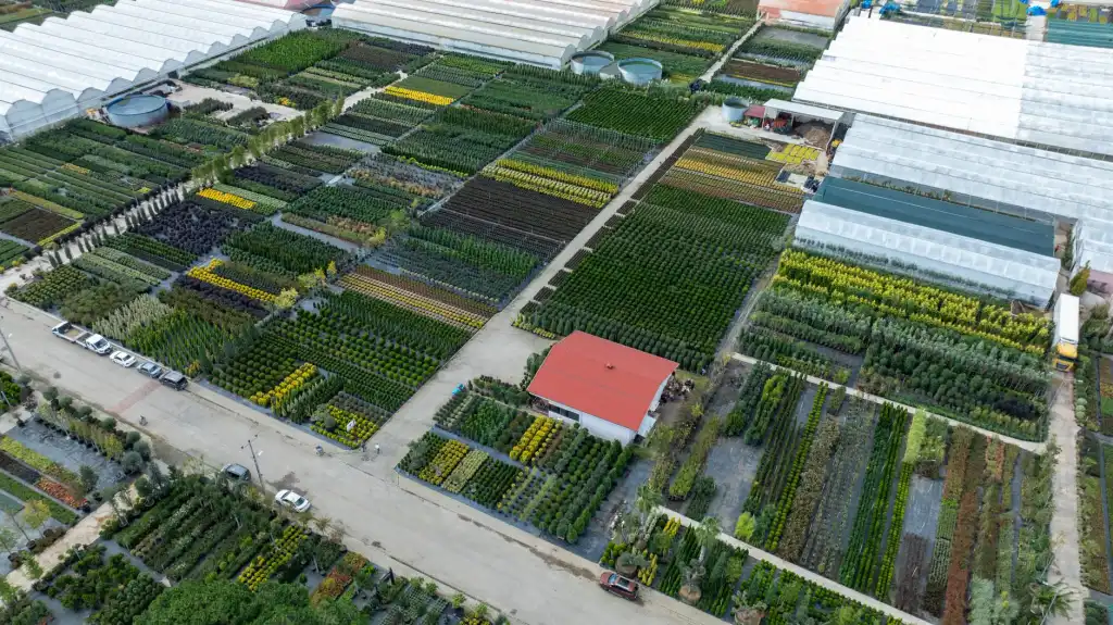 螺蛳粉门店托管服务模式对比分析：自营与托管运营效率差异