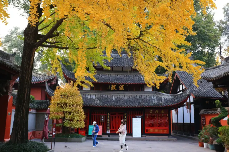 2025年螺状元餐饮管理品牌策划与全流程运营支持对比
